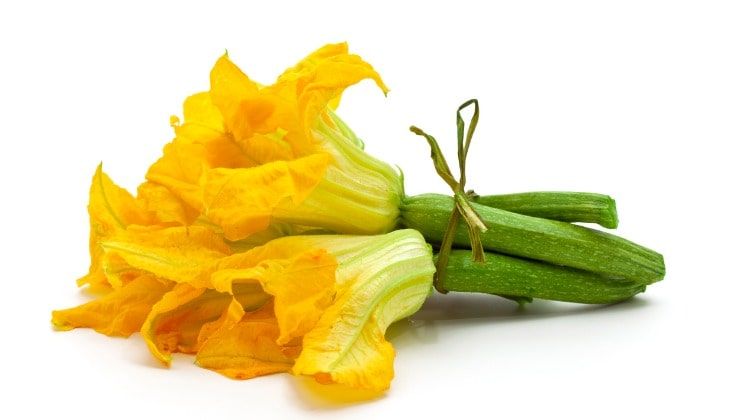 Zucchine romanesche con i fiori