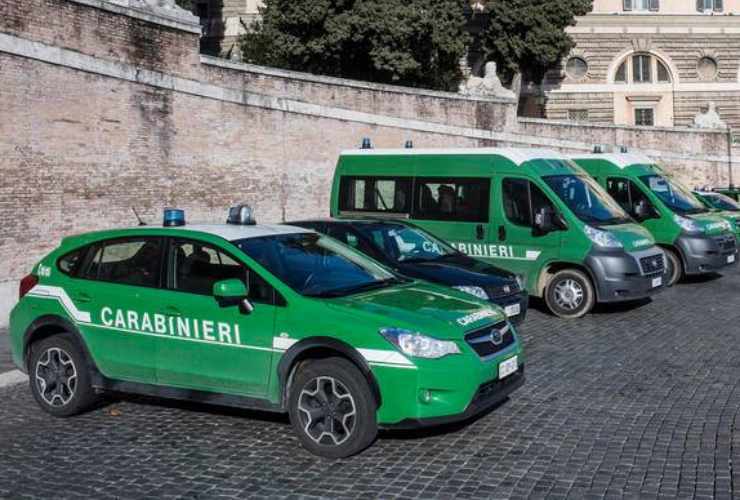 Auto dei carabinieri forestali