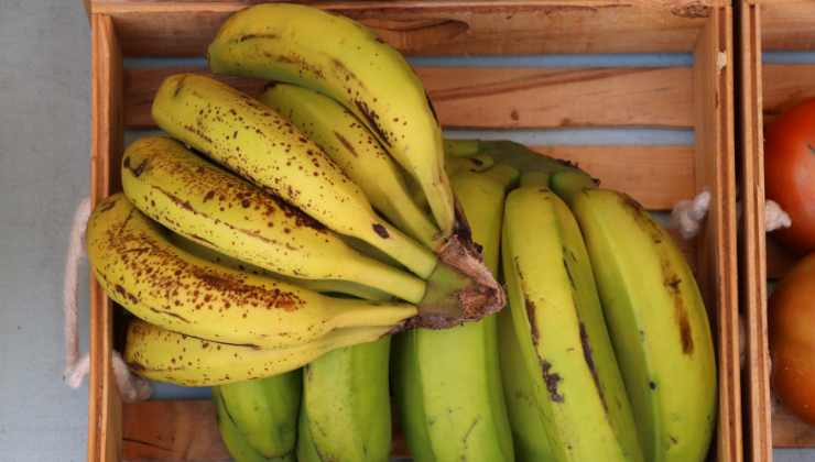 Banane acerbe e mature