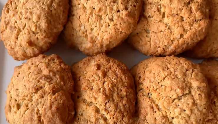 Biscotti all'avena