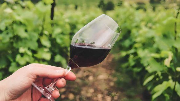 Calice di vino