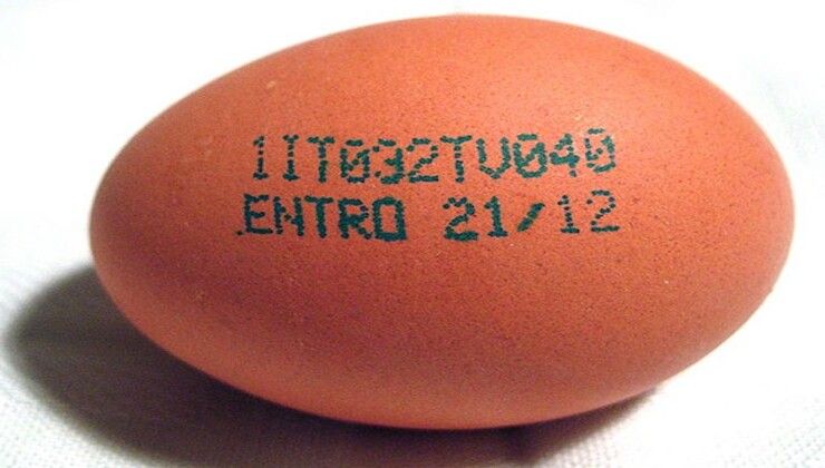 Codice sull'uovo