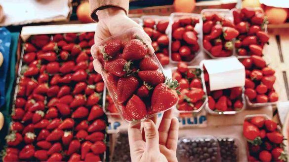 Comprare le fragole