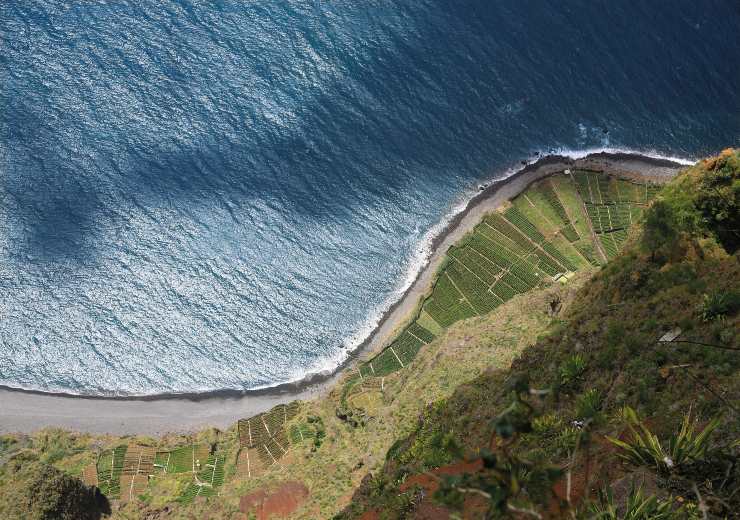 Cosa vedere a Madeira