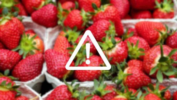 Fragole con pesticidi
