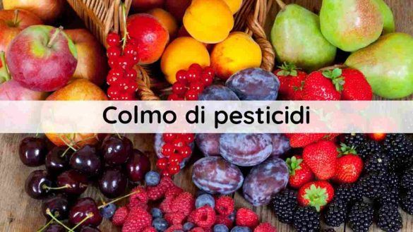 Frutta di stagione
