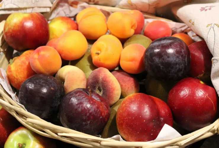 I frutti che puoi coltivare a casa