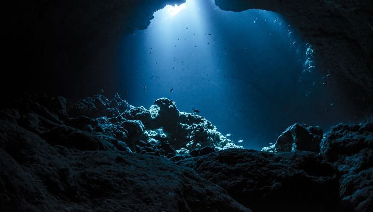 I misteri nella profondità oscura del fondale marino