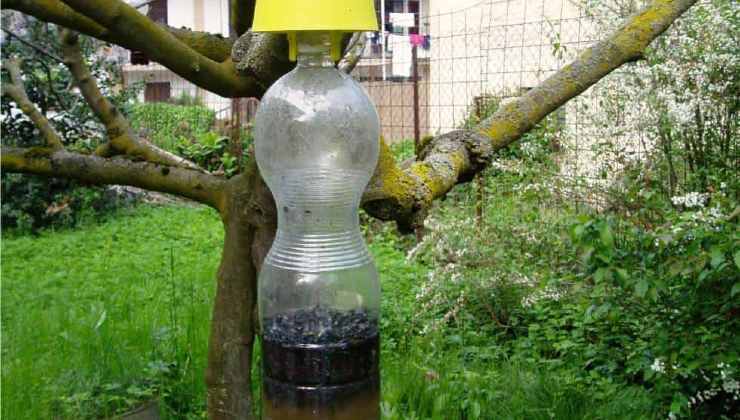 Il metodo delle casalinghe delle bottiglie di vino sul balcone