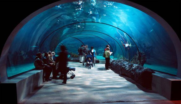 Il tunnel sottomarino più lungo del Mondo