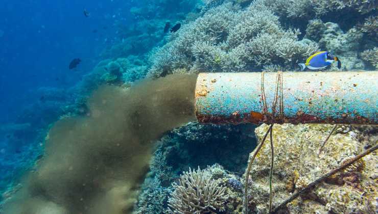 Le scioccanti scoperte negli oceani