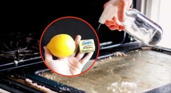 Svelato il motivo per cui molti stanno mettendo lievito e succo di limone nel forno