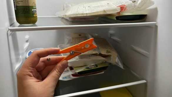 Molletta nel frigo