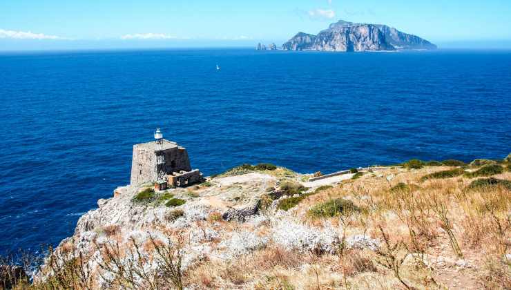 Punta Campanella-Passanti immortalano avvistamento unico