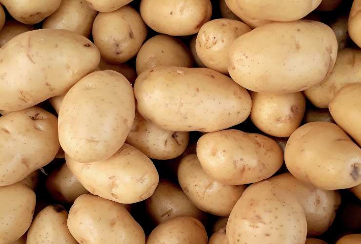 Perché non dovresti mai conservare le patate in frigorifero