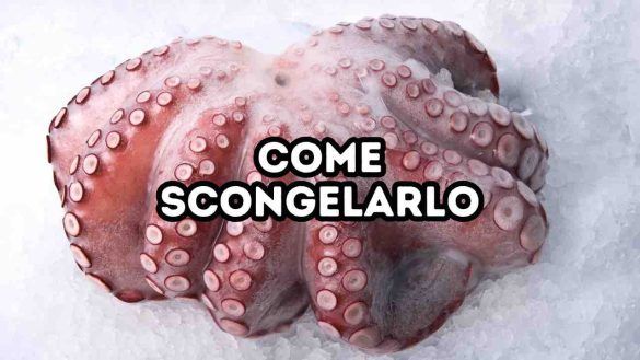 Polpo congelato