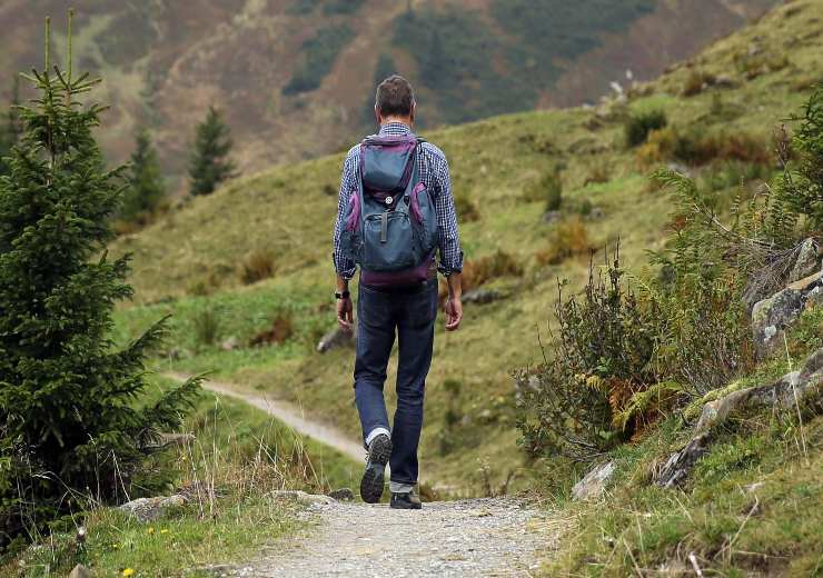 Punture di zecche in montagna