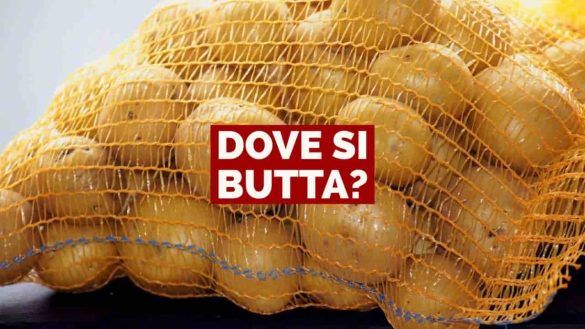 Retina delle patate