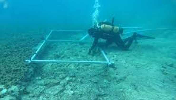 Scoperta sorprendente nel mare croato