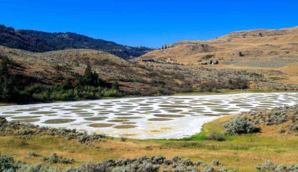 Spotted Lake