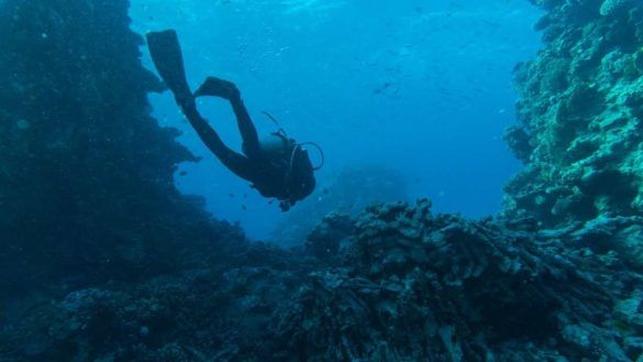 Sub in fondo al mare