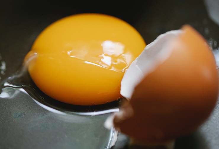 Tuorlo d'uovo