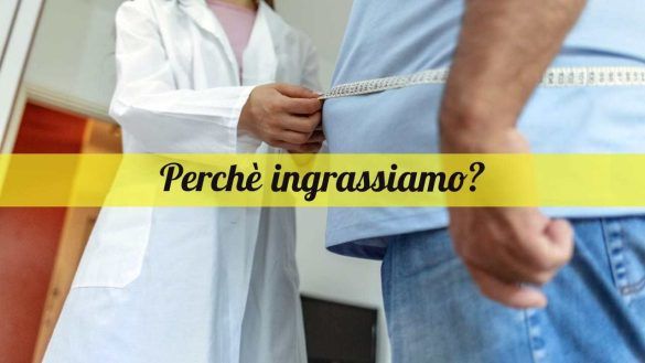per quale motivo ingrassiamo