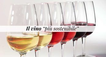 Questo vino è stato eletto il “più sostenibile” d’Italia, sapore inconfondibile