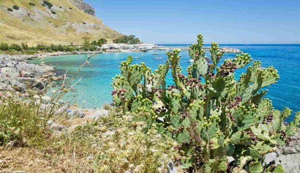 area naturale di Capo Gallo