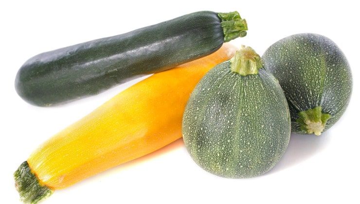 Assortimento di zucchine