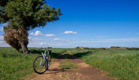 bici nella pianura padana
