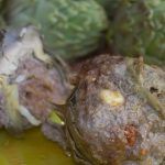 Carciofi dal cuore morbido e tenero ripieni