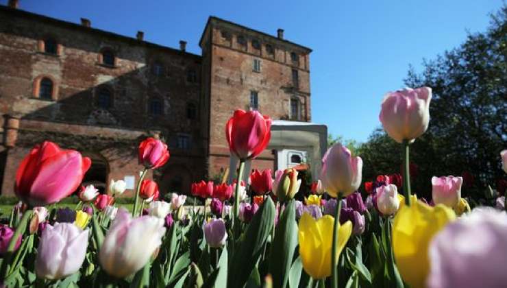 Un castello immerso nei tulipani