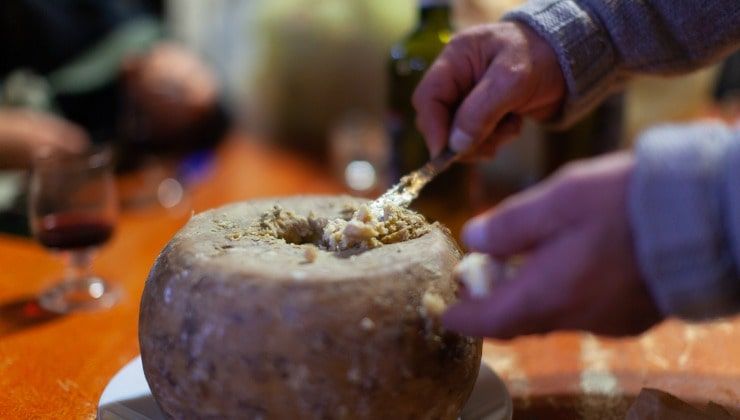 Casu Marzu, formaggio con vermi dalla Sardegna