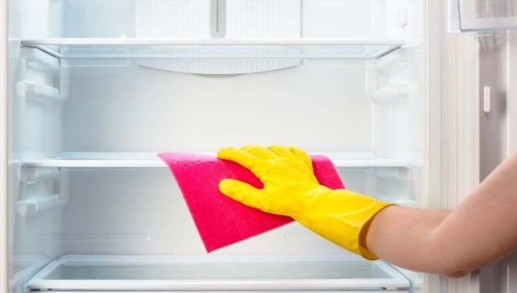 Cibo in frigo deteriorato, pulizia del frigorifero