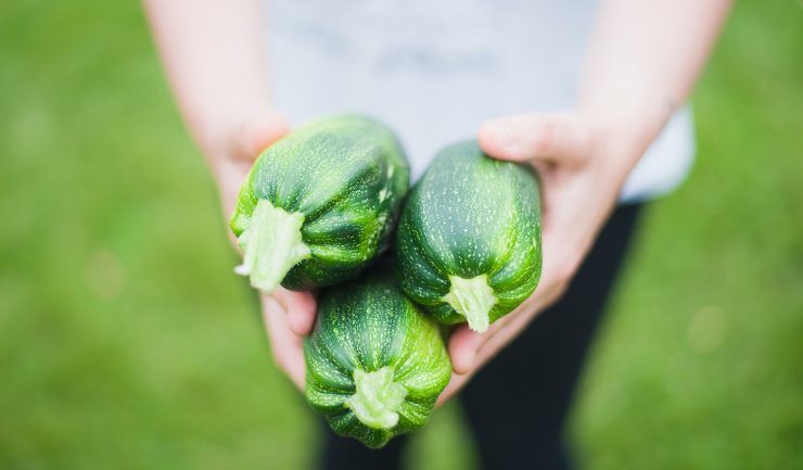 Le zucchine