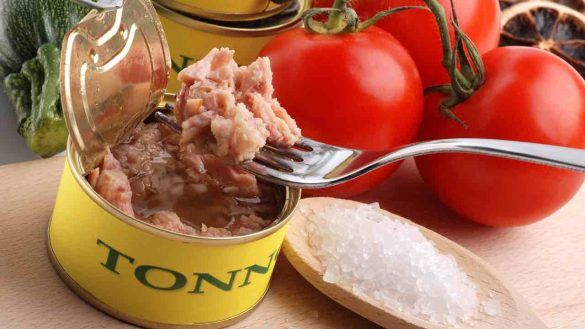 mangiare tonno