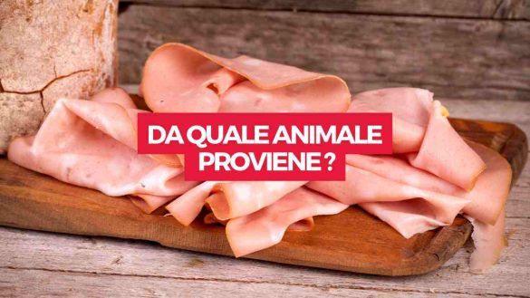 mortadella sul tagliere