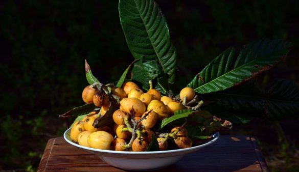 nespole: il frutto della pazienza