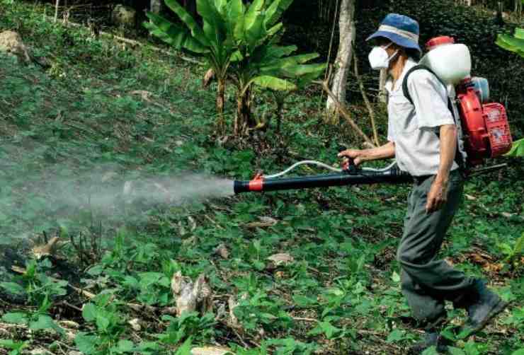Una persona che spruzza pesticidi
