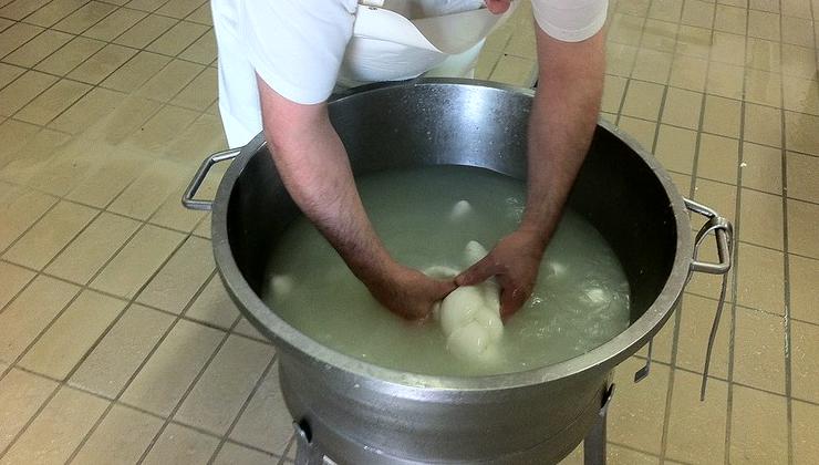 Preparazione della mozzarella