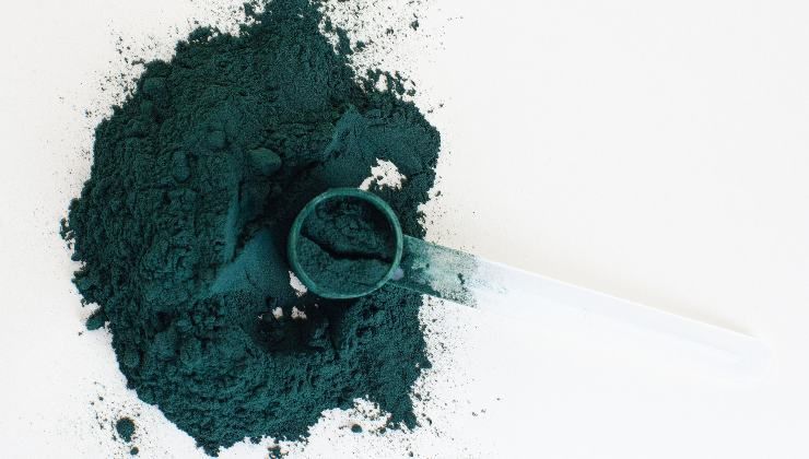 Spirulina in polvere