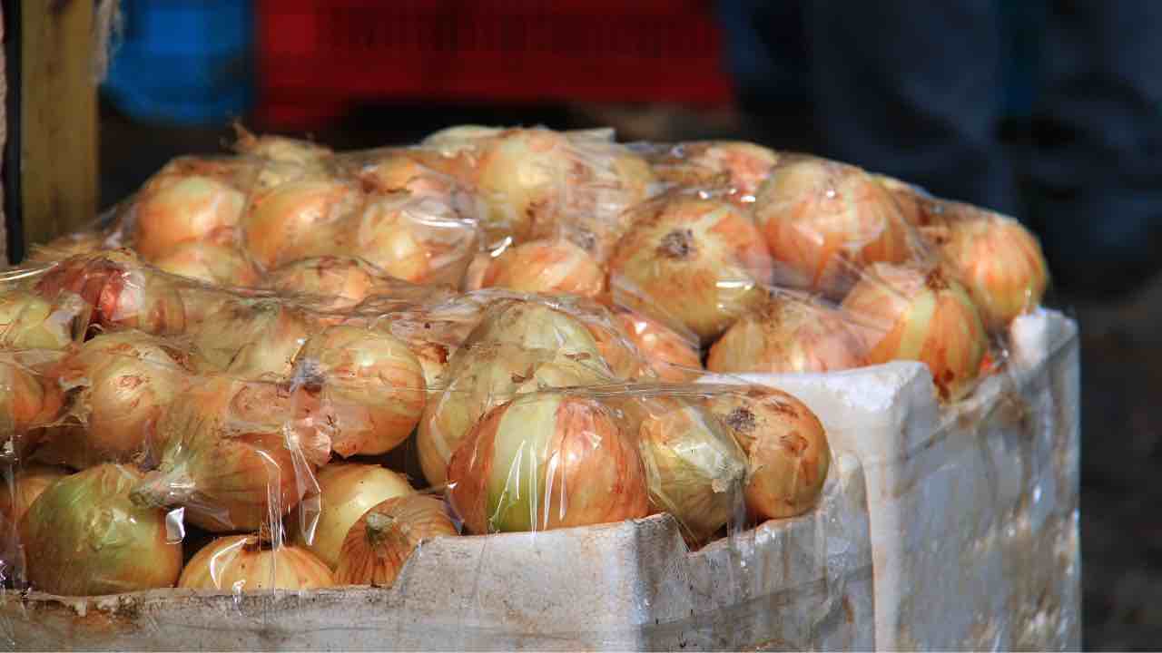 Come conservare nel modo giusto l'aglio e la cipolla