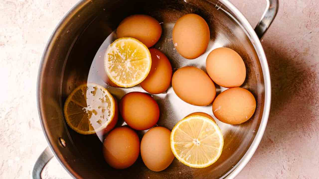 I nutrienti dell'uovo