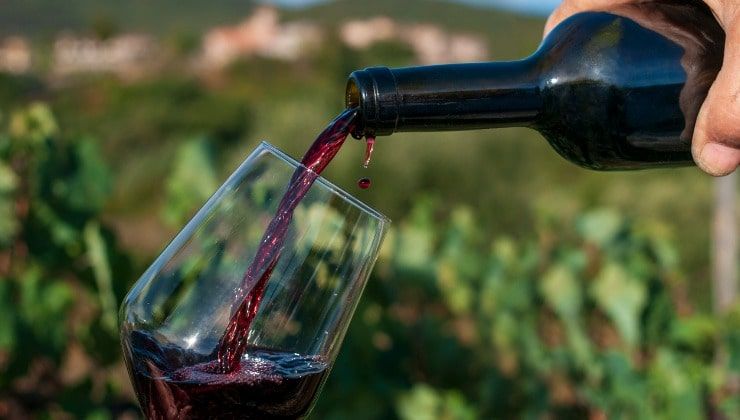 Versare del vino rosso sulle piante