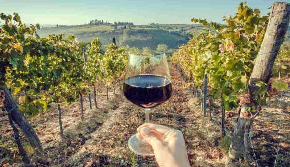 vino Commandaria