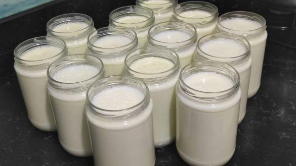 Barattoli di yogurt