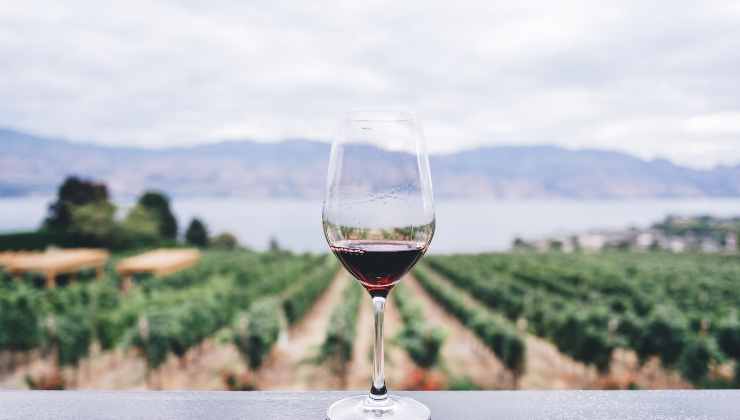 Calice di vino vitigno