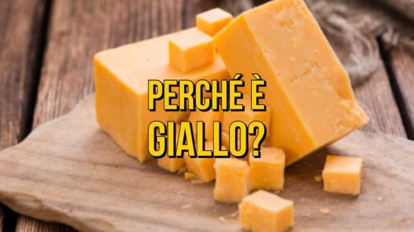 Cheddar