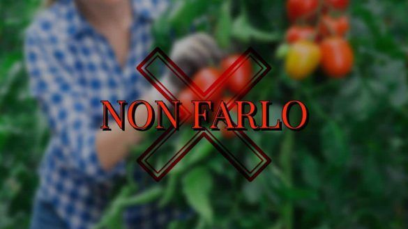 Coltivazione di pomodori